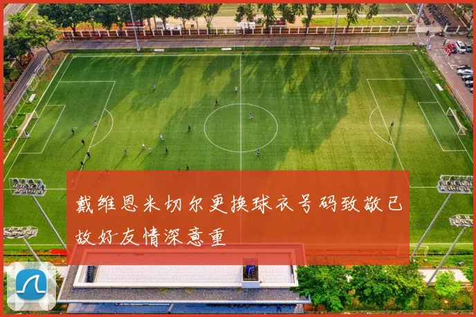 戴维恩米切尔更换球衣号码致敬已故好友情深意重