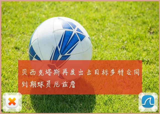 贝西克塔斯再度出击目标多特合同到期球员厄兹詹