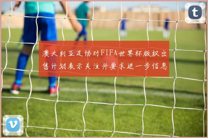 澳大利亚足协对FIFA世界杯版权出售计划表示关注并要求进一步信息